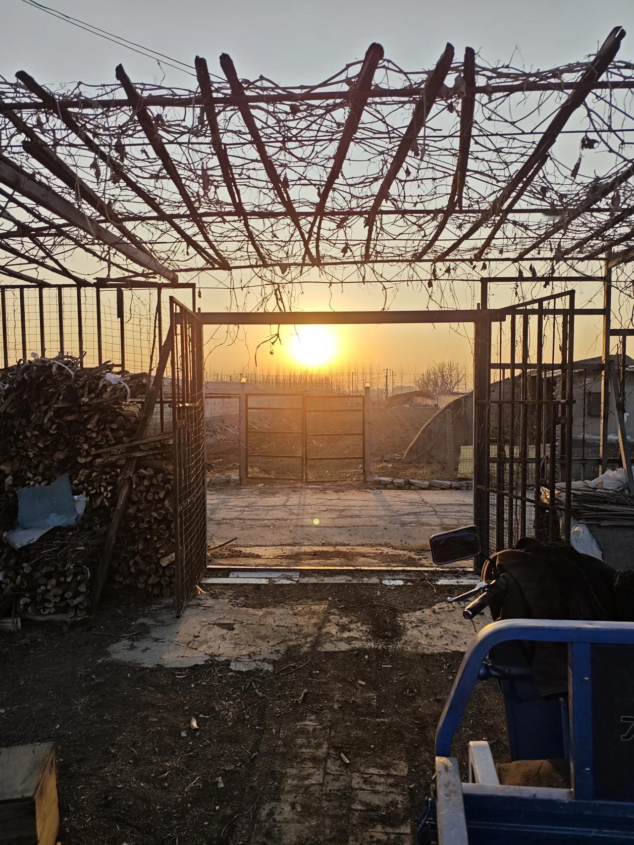 这几幅图拍的并不好。可它记录我的真实生活，太阳要落山了，我的放下手中的农活，该回