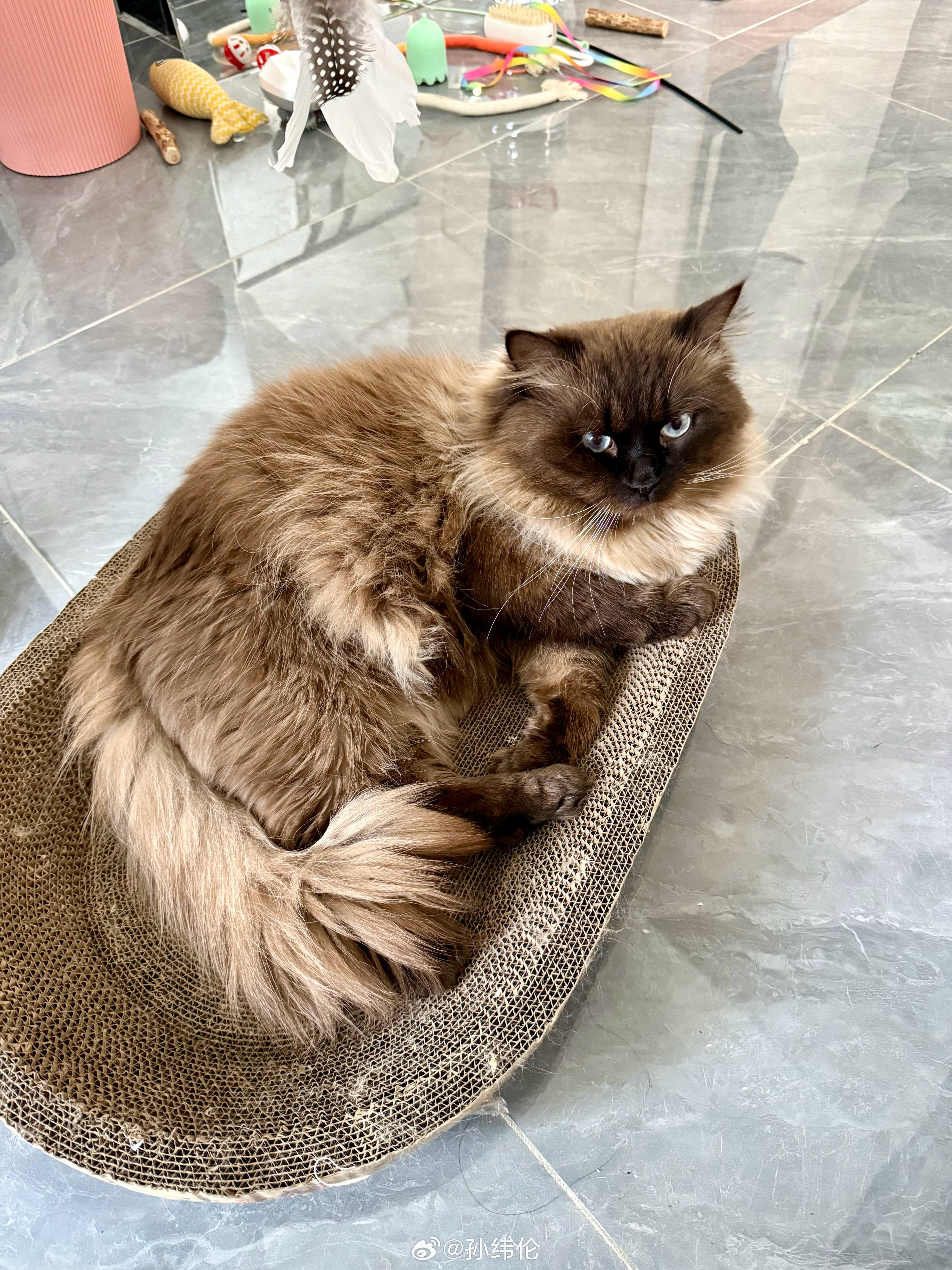 早安周一了 深圳