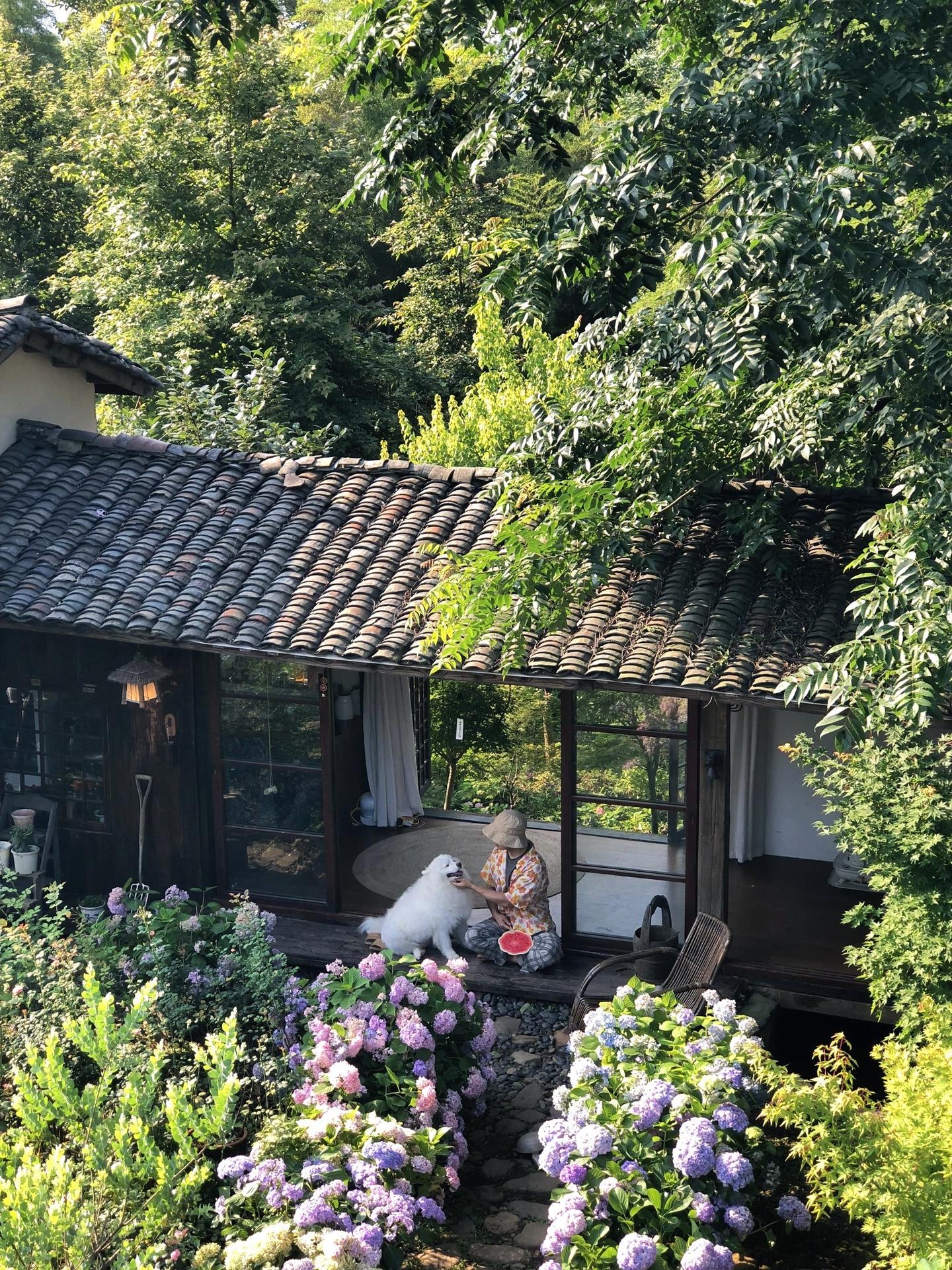 夏天，我好像住进了宫崎骏动画里🍃