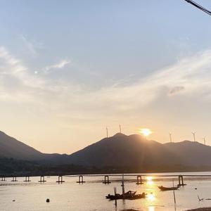 小知闲闲仙