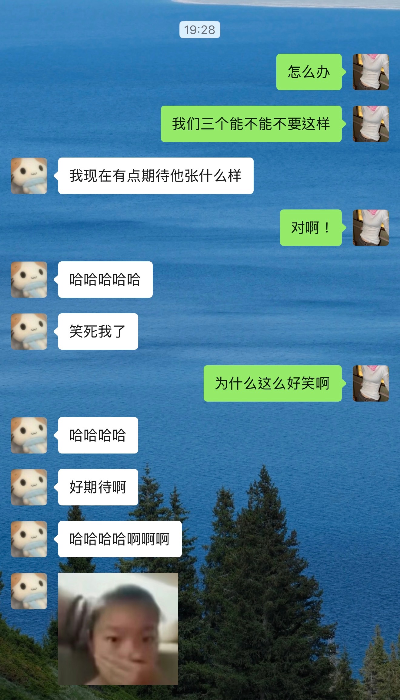 这次我真的字面意义上笑到发抖啊 