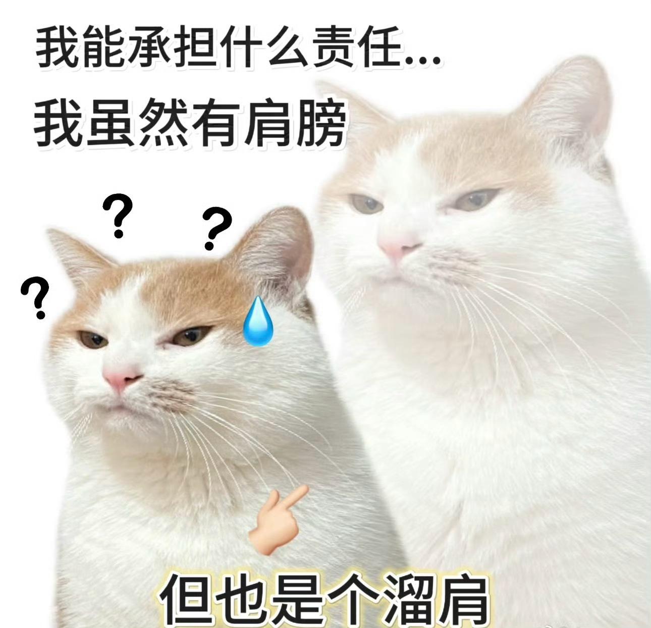 赵樱子崩溃大哭 赵樱子是被夺舍了吗？好好拍戏不好吗，每天直播说一些莫名其妙的话，