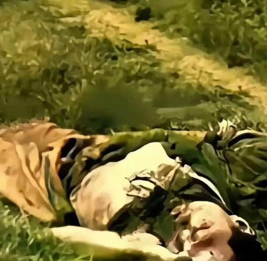 在南疆的高温湿热中，一名牺牲于敌人伏击的侦察兵烈士，因时隔多日，当救援战友赶到时