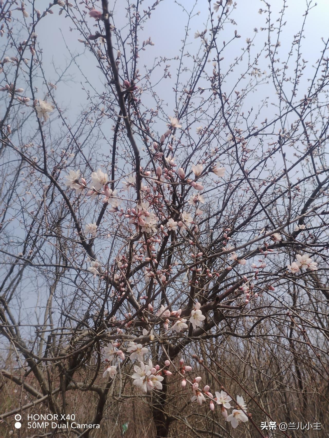 10点多出发，闺女开车很稳，我一路上乐颠颠的享受。很快就到了。

看到了四个旅游