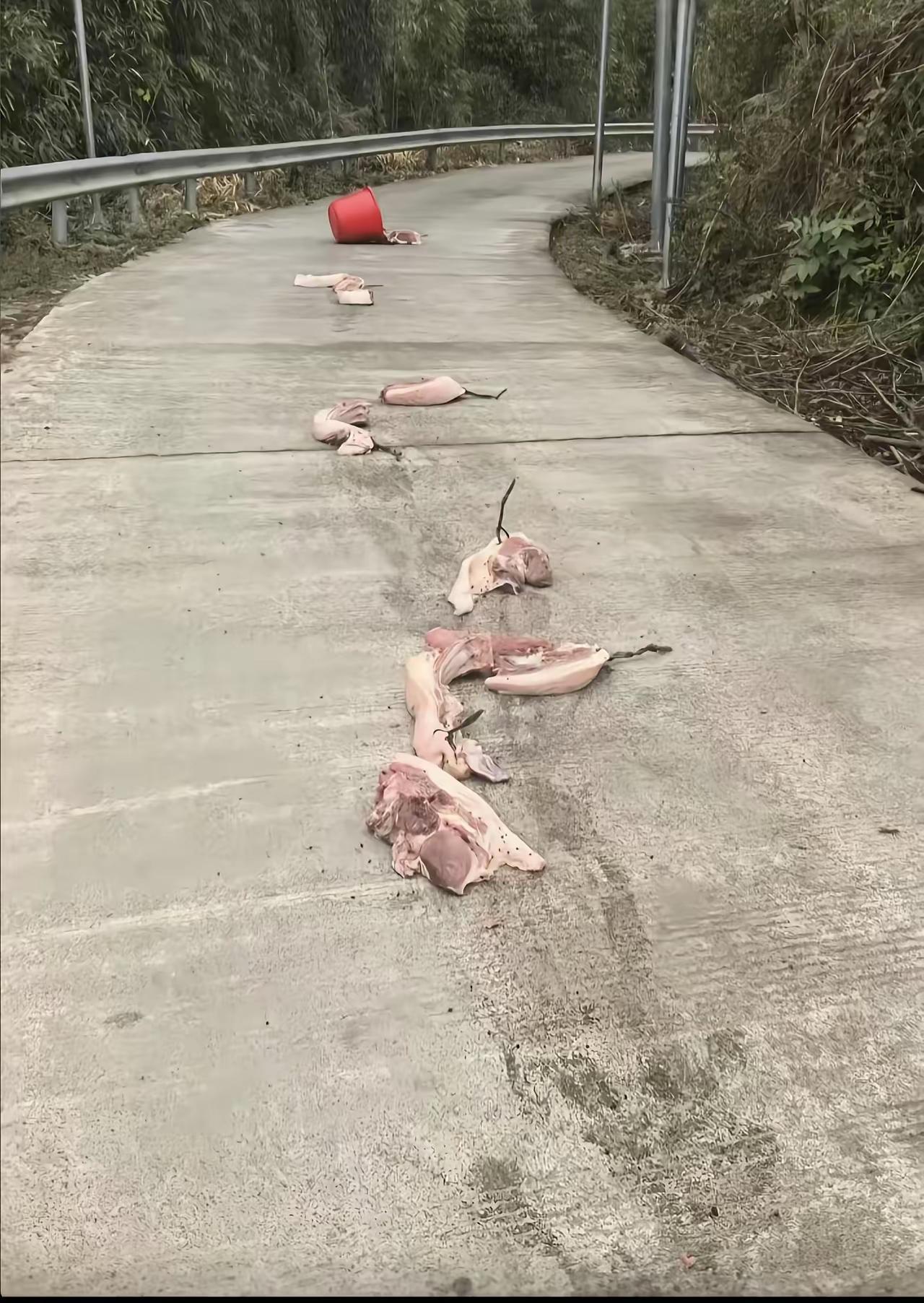 开车在乡间小道上碰到这种情况怎么办？捡还是不捡？需要注意什么？[what]