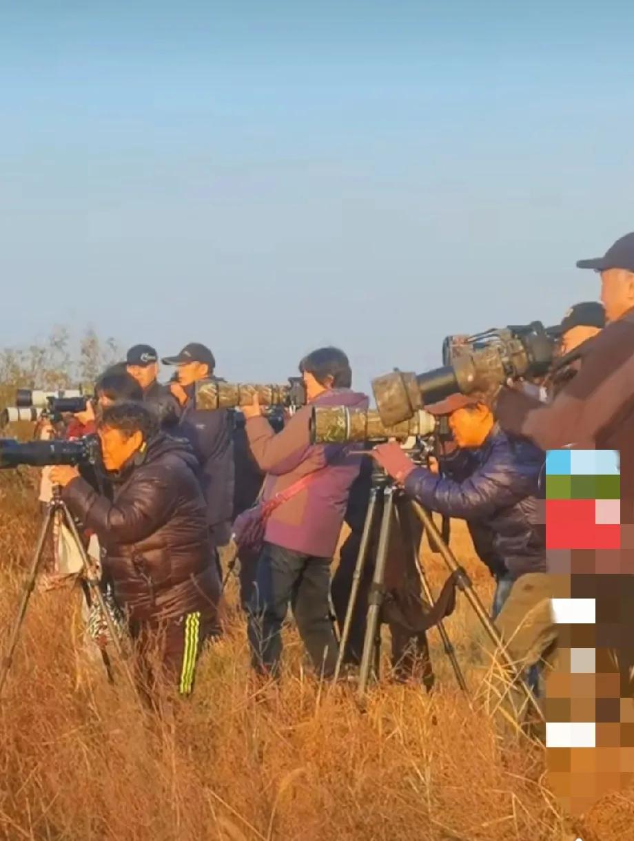 东营这些老人家，出现在黄河入海口景区。


他们大约在六七十岁左右，是来拍黄河入