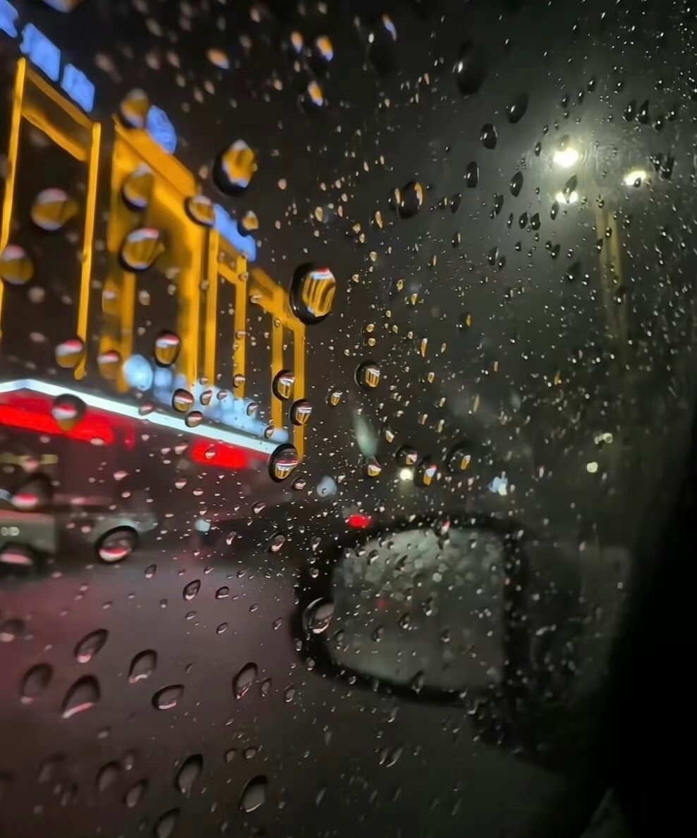 《我想我会一直孤单 这样孤单一辈子》 