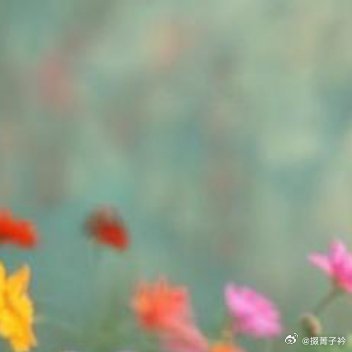 成功的核心秘诀：顺着人性处事，逆着本性修己。不必执着争辩是非对错，少纠结恩怨纷争