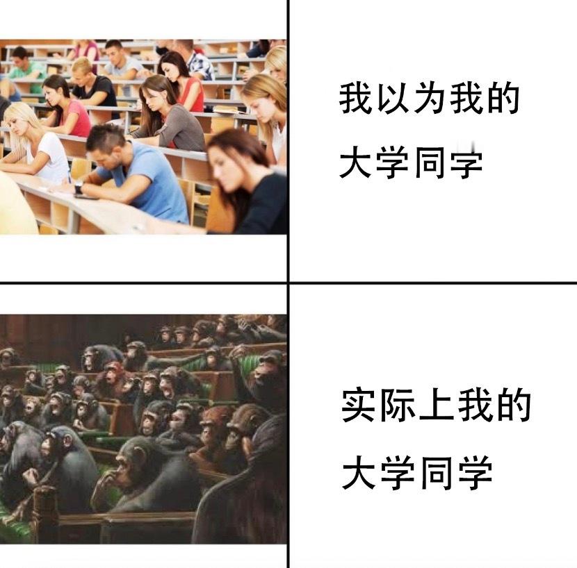我上大学了？#meme# ​​​