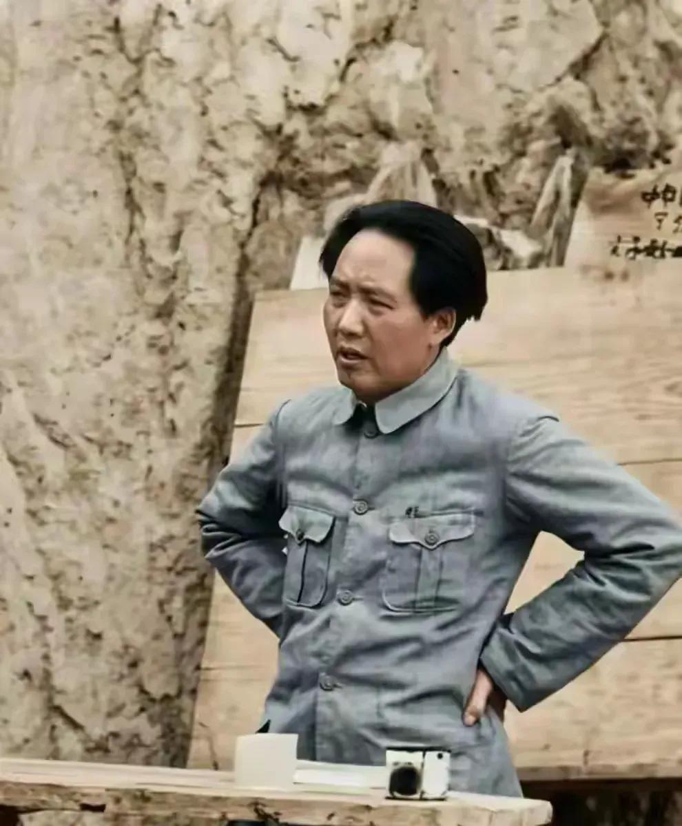 说到教育，咱们都听过“德智体美劳全面发展”。但你知道吗？最早提出这个核心思想的毛