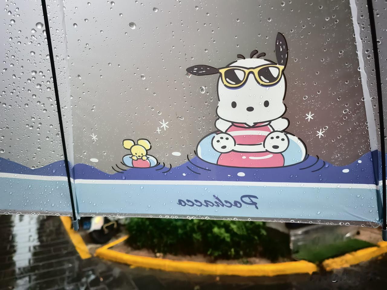 一觉醒来，6点。

被大雨冲刷过的城市，此刻显得格外宁静，竟少了些许往日的烦躁。
