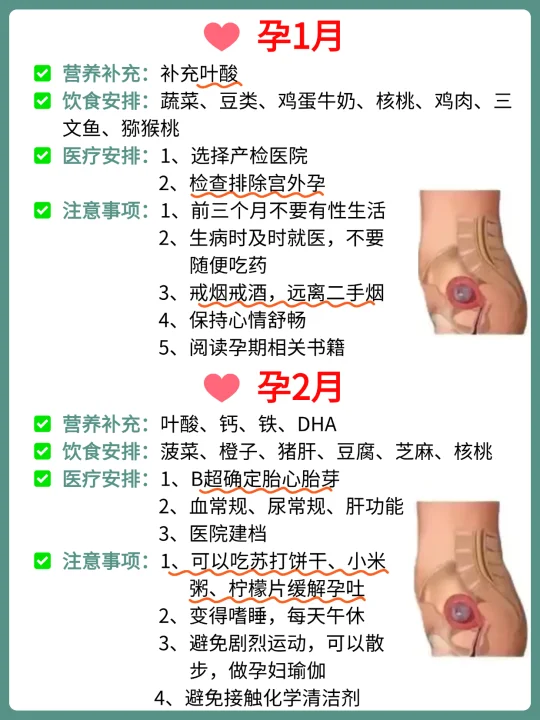 孕期每月注意事项及营养补充