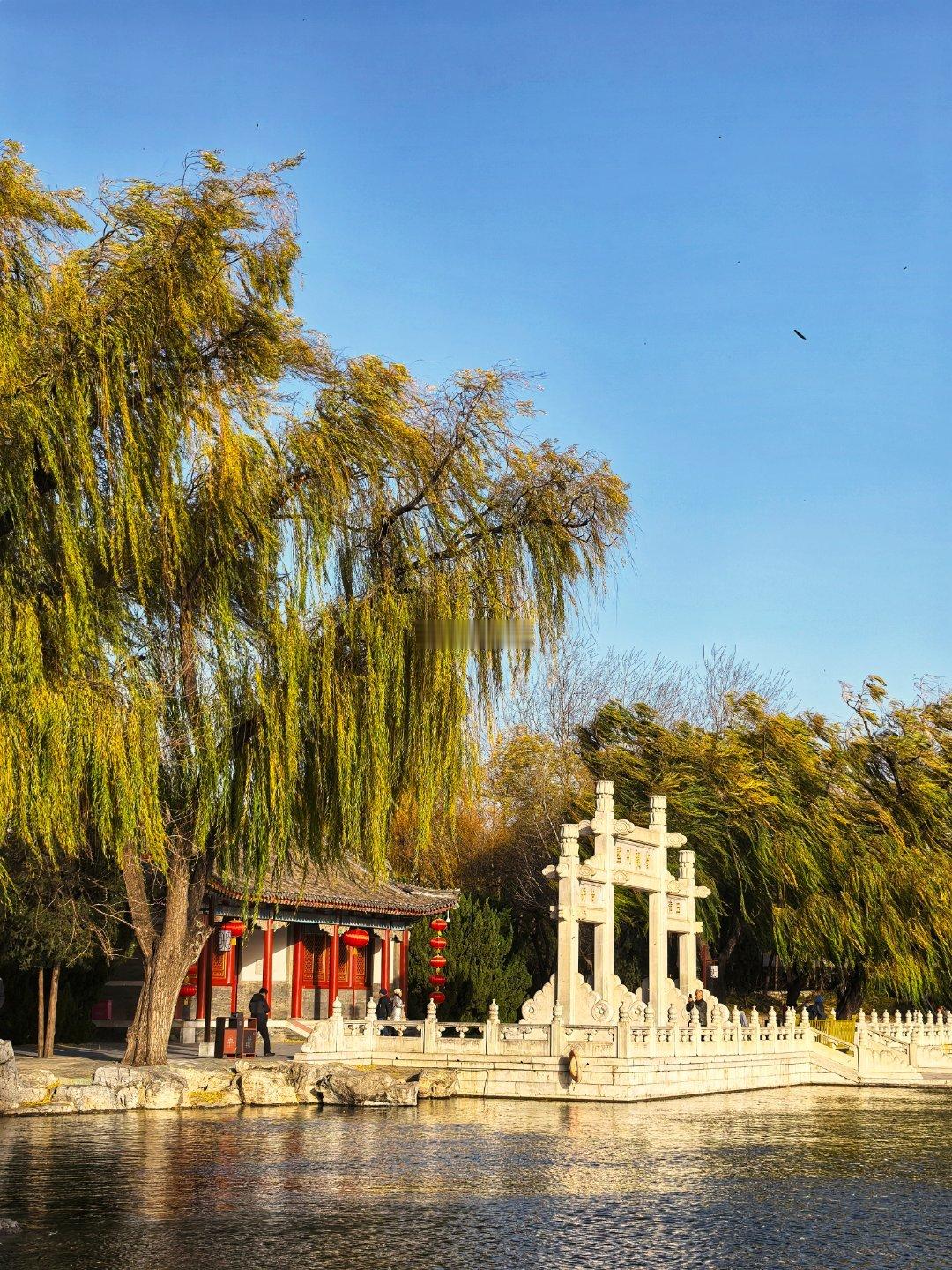 冬日大观园摄影