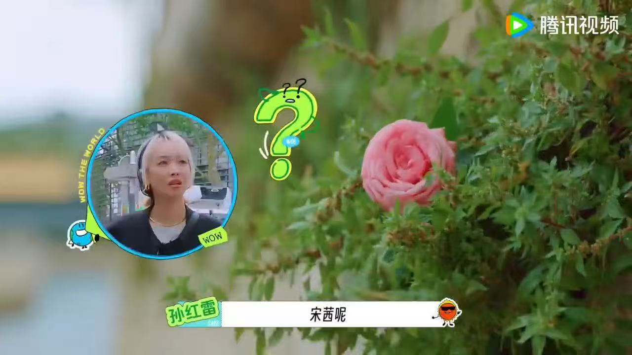 刘宇宁宋茜啥时候认识的孙红雷郭京飞王玉雯都想和宋茜搭档地球超新鲜 孙红雷：宋茜呢