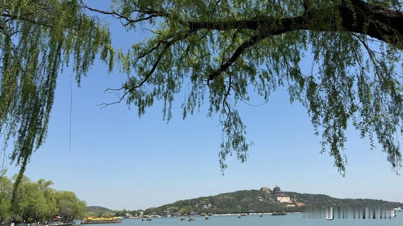 男女老少都可以打乒乓球
打球是特别需要集中精力的

球在空中飞，速度很快
精神不