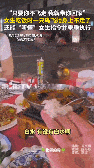 有缘千里来相会，无缘对面不相逢！5月11日，江西修水县发生了一件让人看了直呼神奇