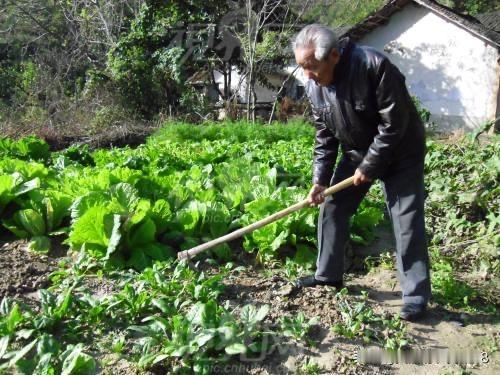 【江城子·英雄迟暮与谁言】


曾经年少很轻狂。
挺长枪，刺群狼。
蹄踏三关，单