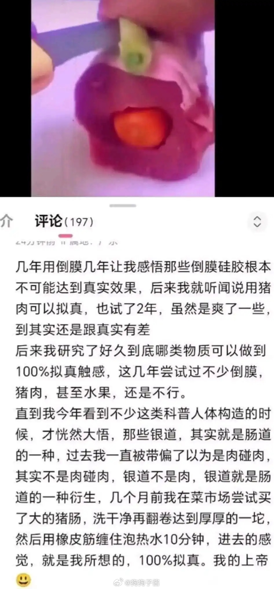 我的上帝……我看了什么啊 