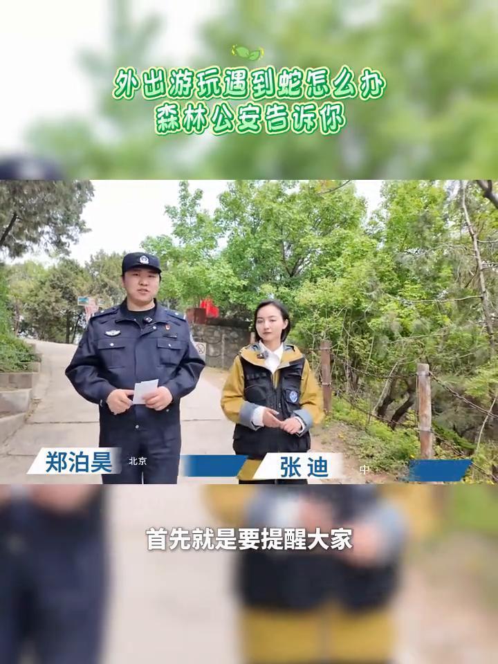外出游玩遇到蛇怎么办？森林公安告诉你。
中国警察网主持人郑泊昊。
首先要提醒大家