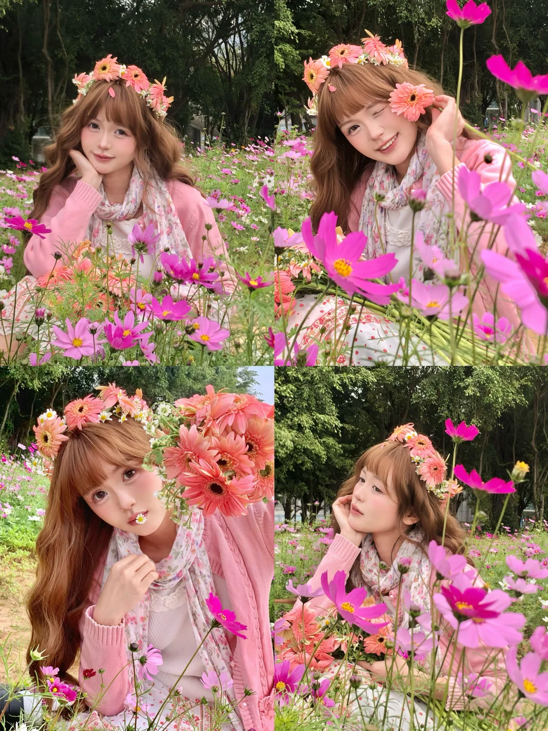 被拍成粉色小花仙｜小清新格桑花海拍照姿势