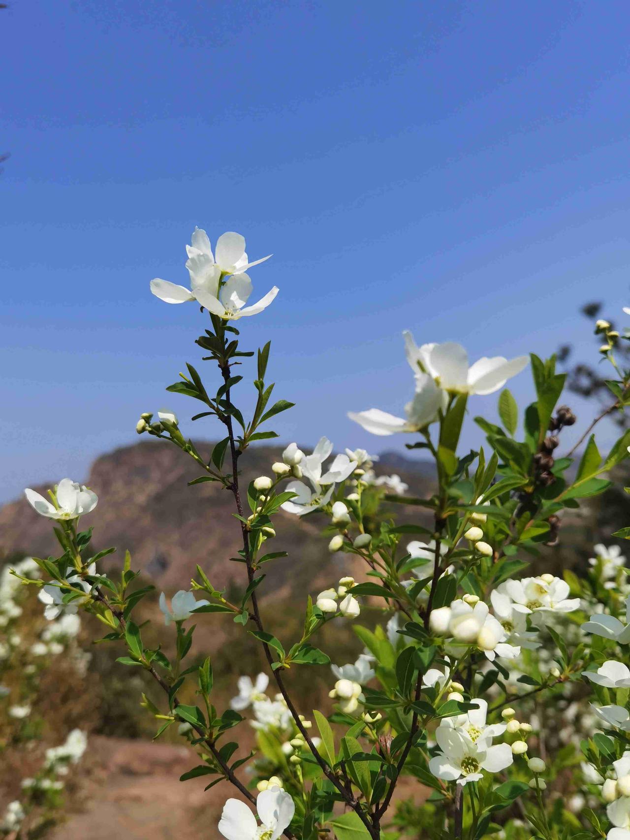 我的今日状态：🥲强颜欢笑
我这里的天气：☀️晴天
今天周日，天气很好，微微的风