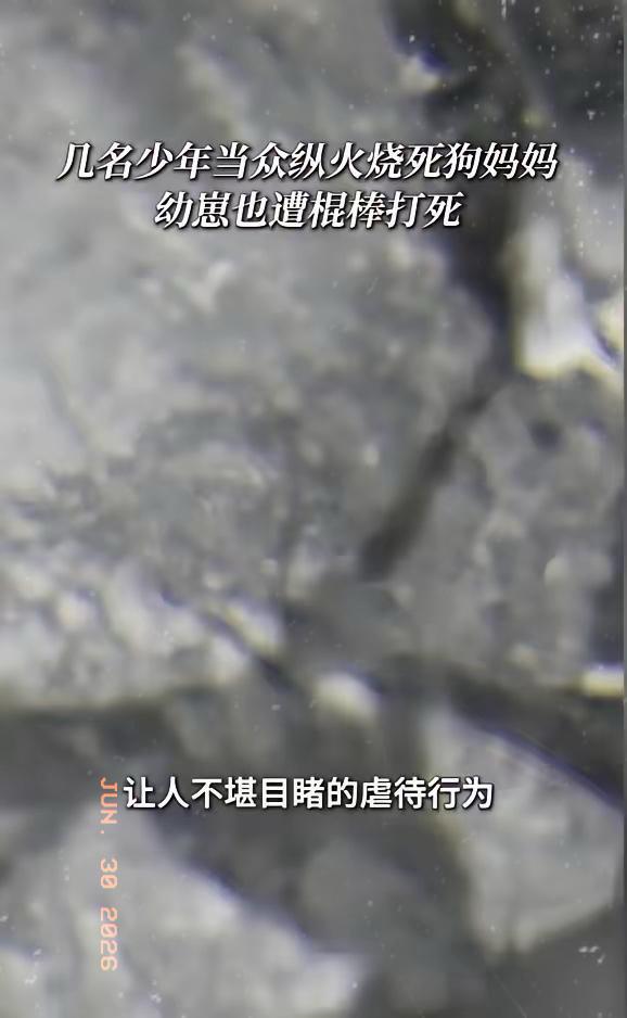 “天生坏种！”6月30日报道，广东揭阳，4名男孩盯上一只流浪狗，他们先用棍棒抽打