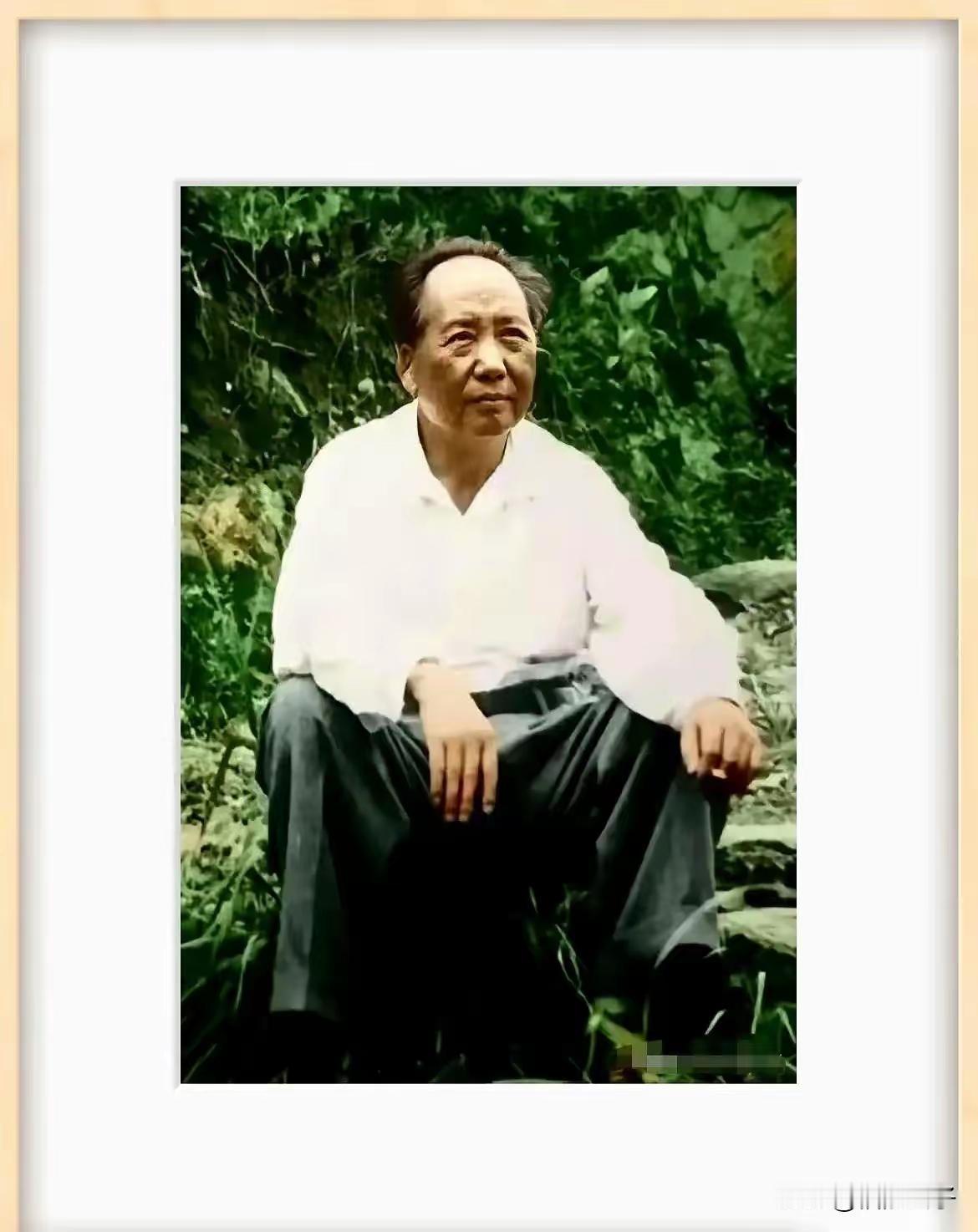 即使乾坤大，犹怜草木青。
谁有老人家的压力大，谁有老人家受得压力多?
老人家说，