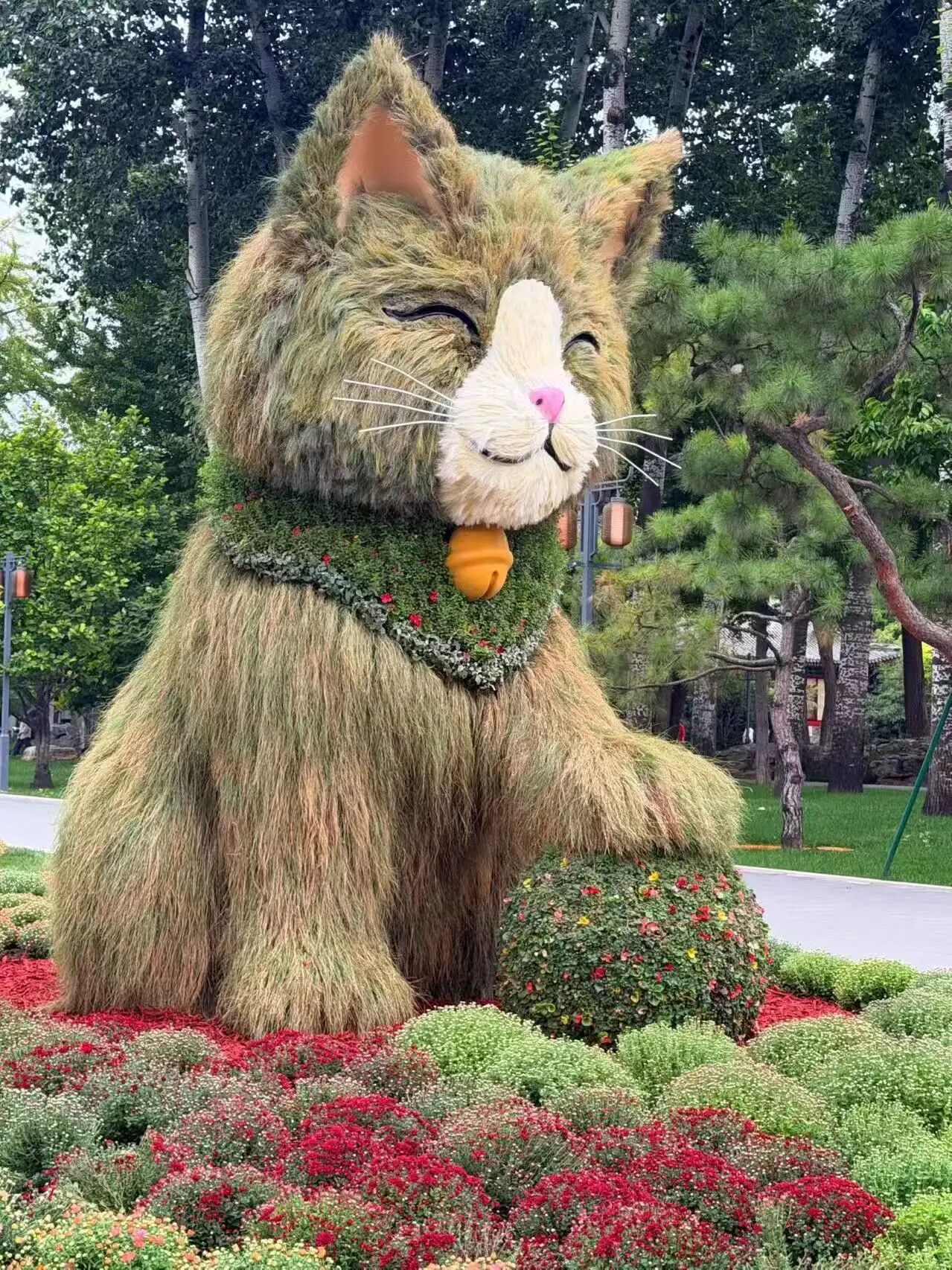 【北京日坛公园巨型菊猫好可爱】日坛公园巨型菊猫绿雕成热门打卡点 中秋假期到来，小