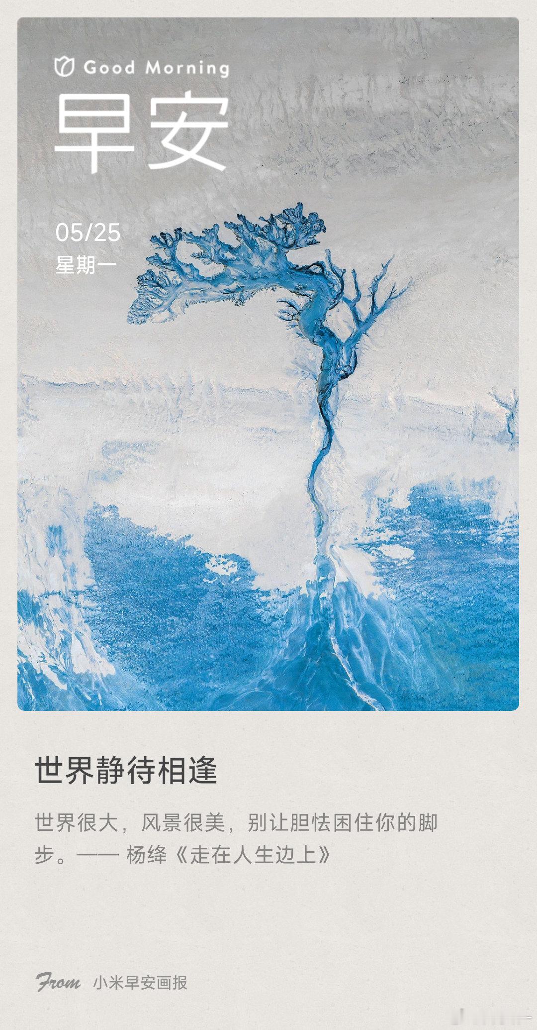 世界静待相逢： 世界很大，风景很美，别让胆怯困住你的脚步。—— 杨绛《走在人生边