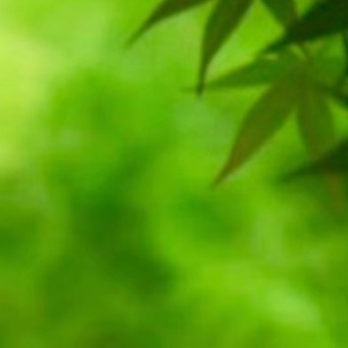 生活手记周末愉快。 