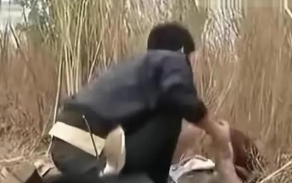 太荒唐！河北安国一男子在麦田边搭讪女邻居，两人进入小树林发生关系，谁知女邻居直接