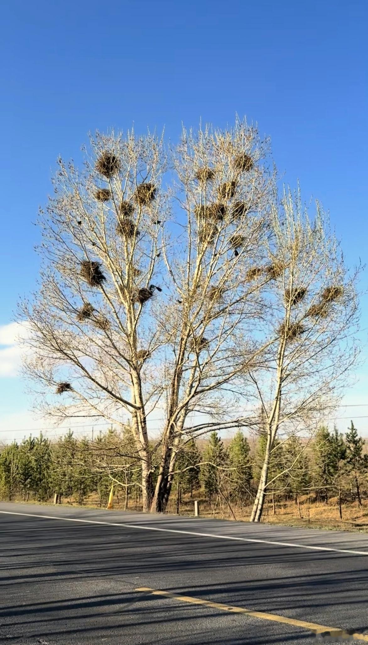 给这个小区取一个响亮的名字！