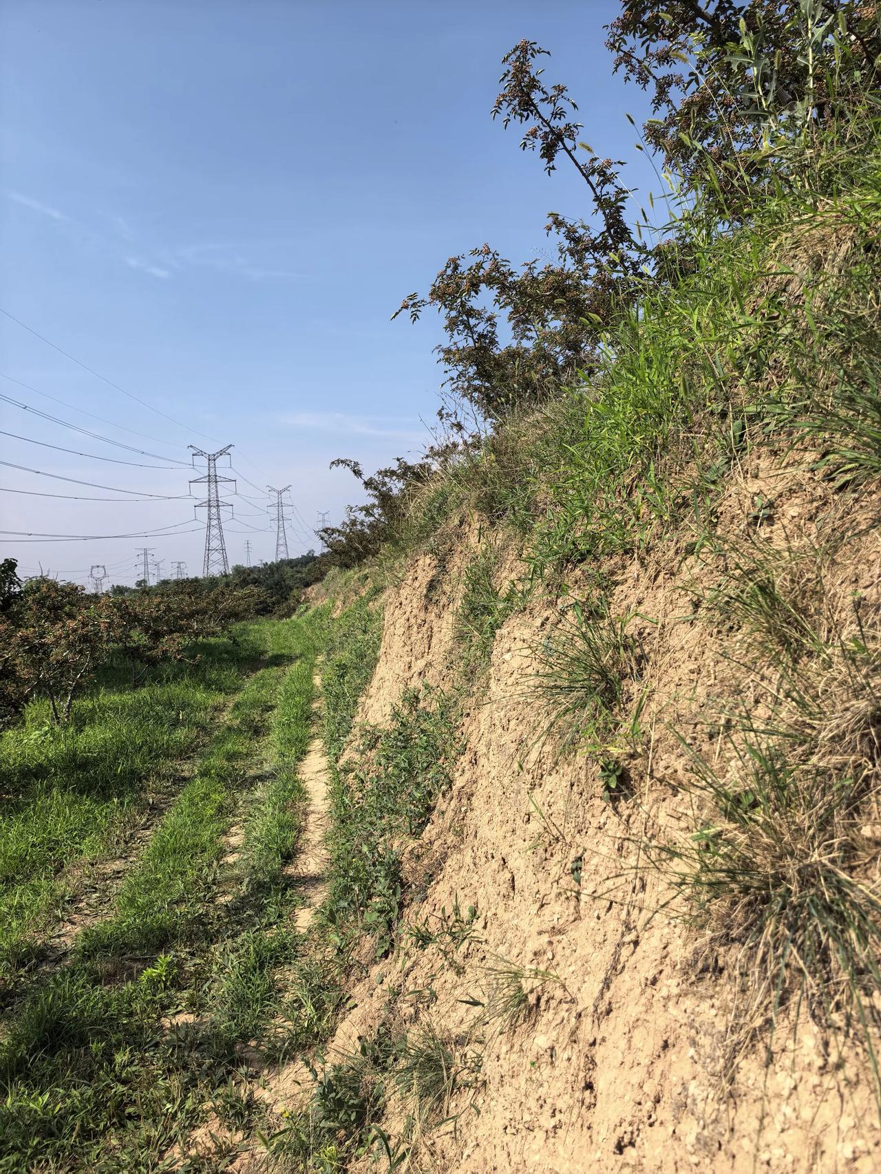 少梁县名来源于古梁伯国，位置在韩城市南。曾经是晋魏河西属地，秦强，魏迁都大梁，我