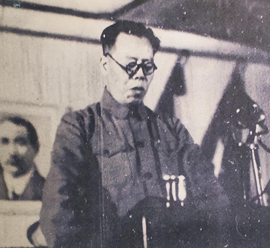 1964年，李莎递交了加入中国国籍的申请，最终在周总理亲自批示同意下实现了自己的