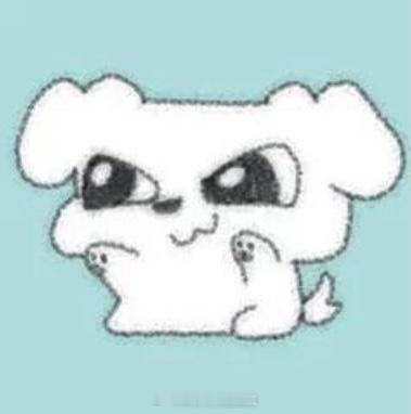 一觉睡了快十二个小时 爽！ 