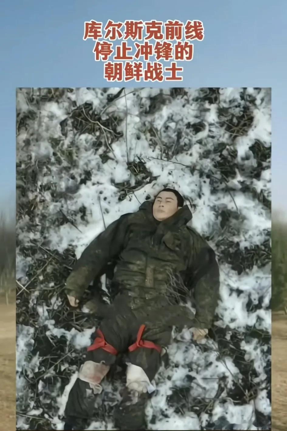 库尔斯克前线停止冲锋的朝鲜战士，这可是特种兵战士啊，尸横遍野，俱是农家弟子
什么