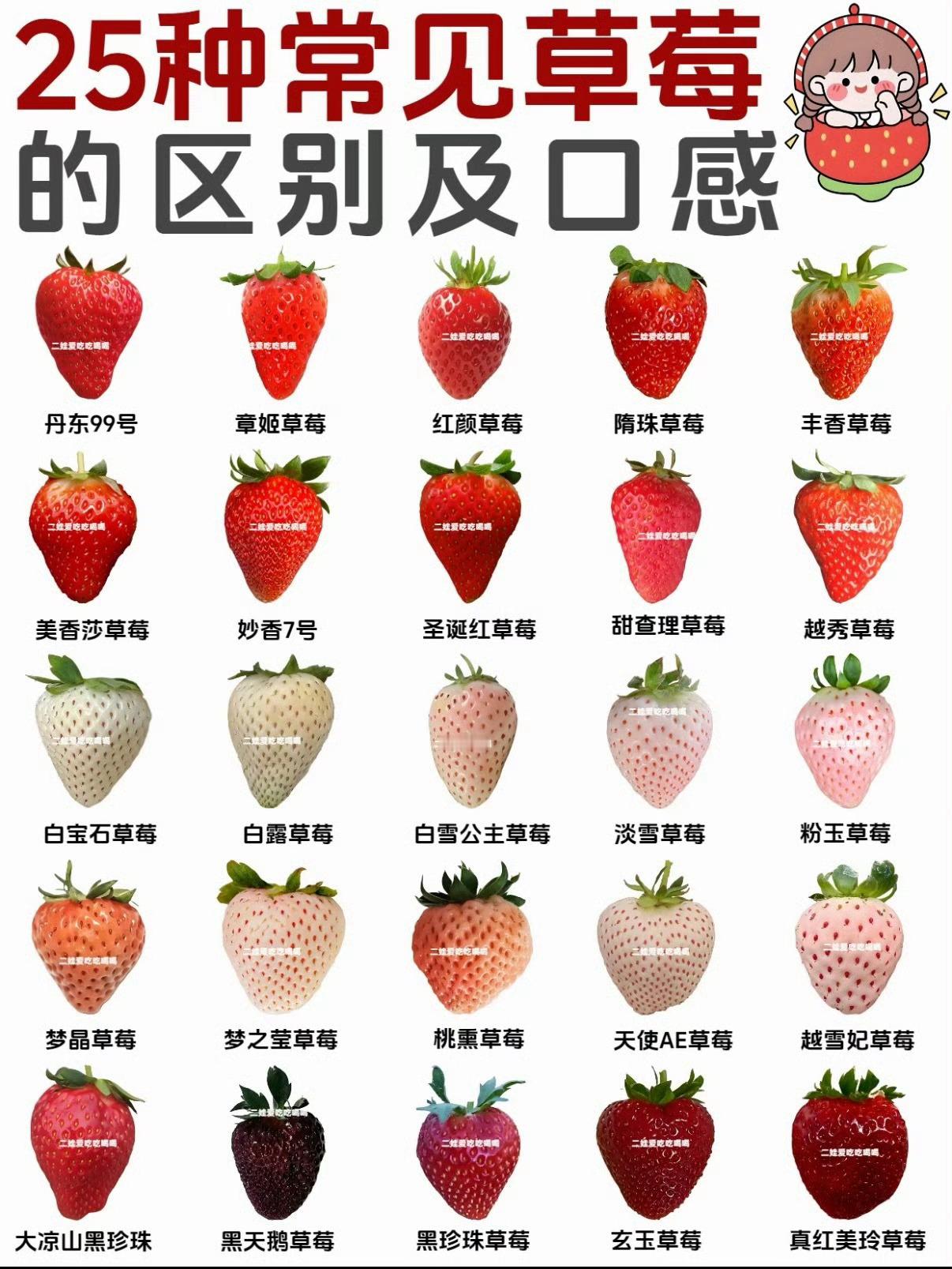 黑草莓资本真的是变着法儿的收割我们小老百姓，本身钱包就紧，还来？坚决不上当！