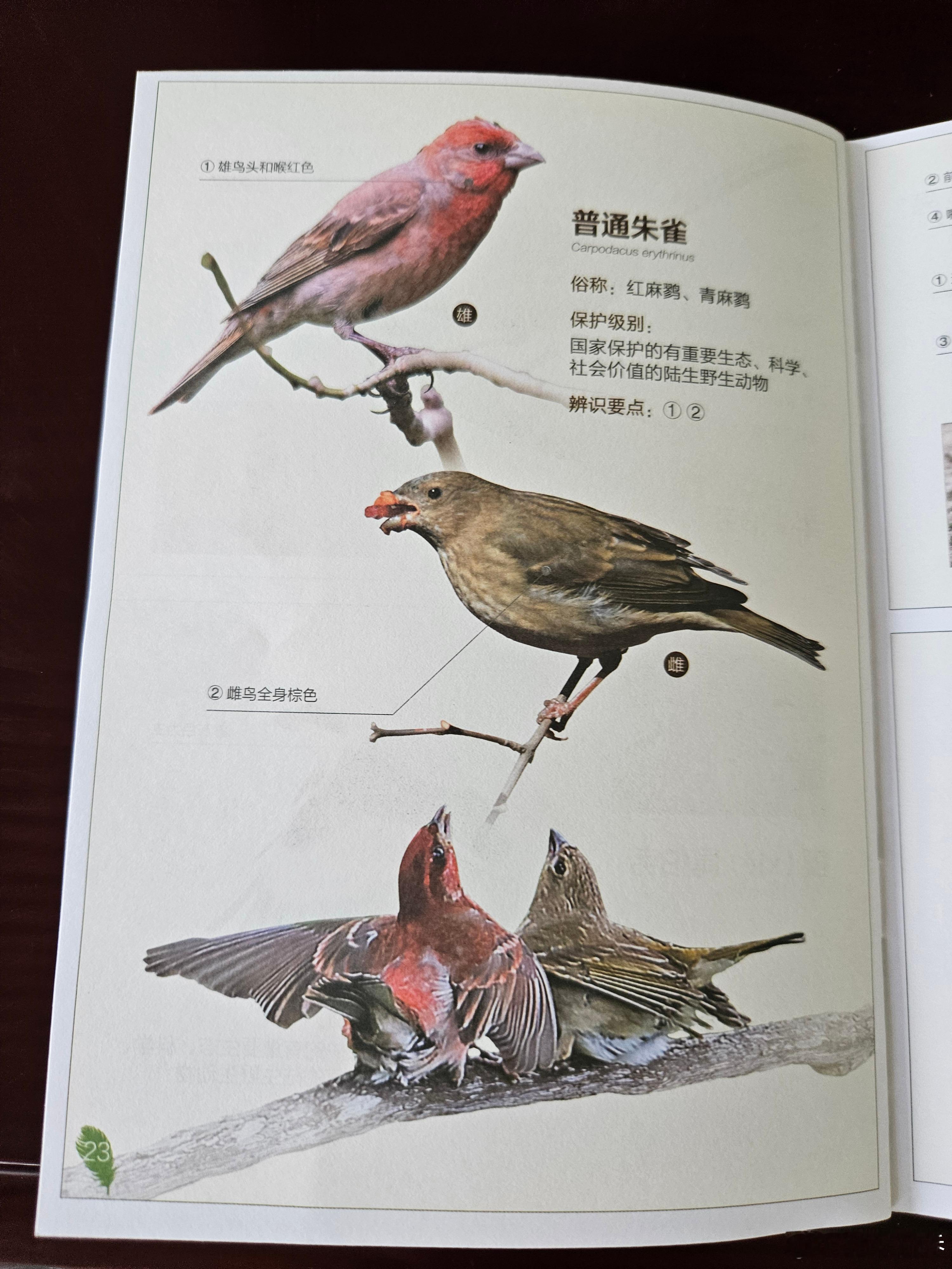 分享图片 