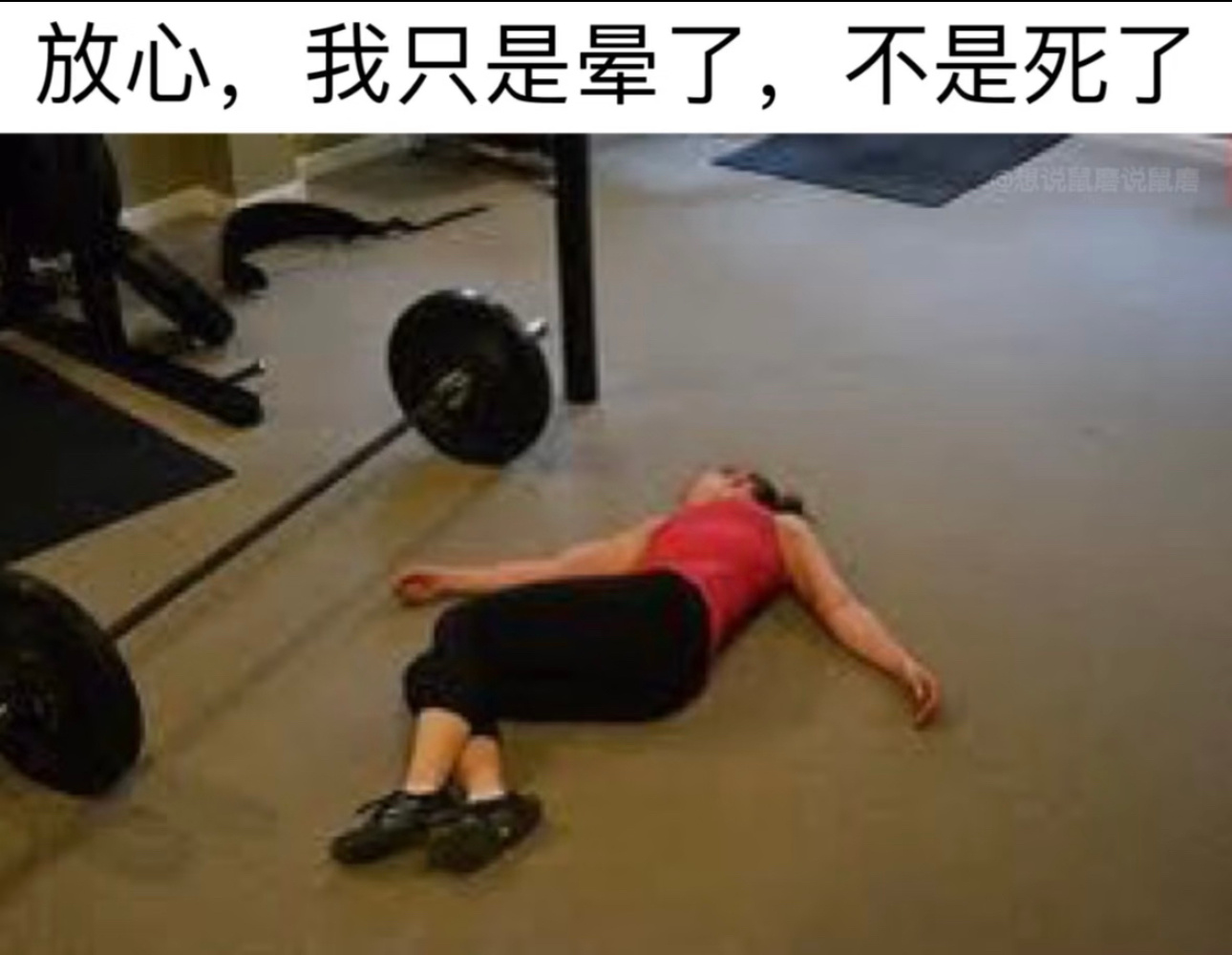 今天去健身房爬楼梯机差点给我累晕了.. 