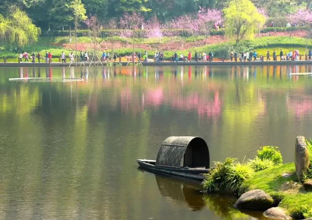 《重游桃花溪》
清晨漫步在治理后的桃花溪，像一幅淡淡的水墨画 ，静静地铺展在我的