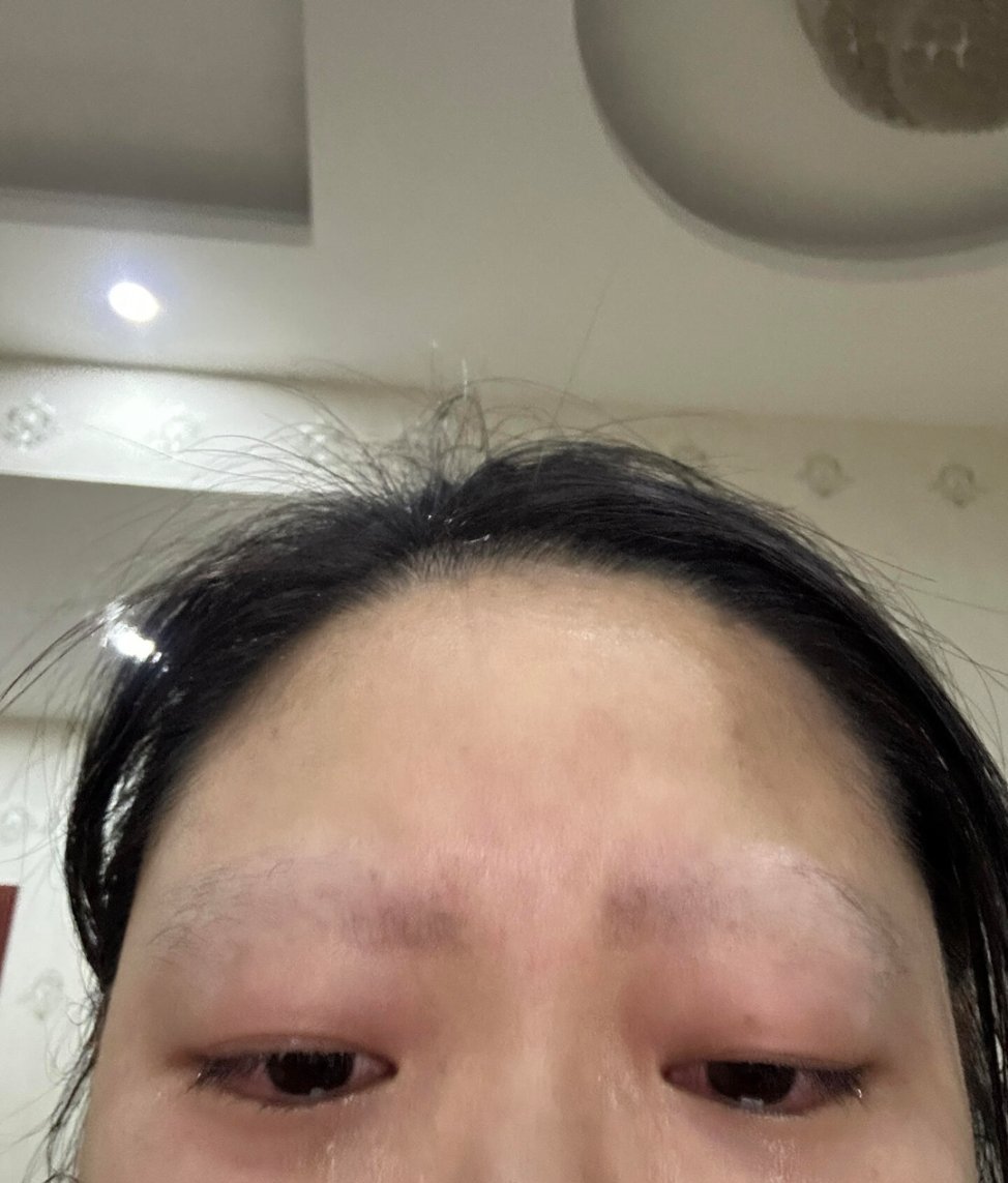 怎么会这样啊眉毛被鸟拔光了就今天下午，我刷手机+赶作业，就让它一直挂在我头上，它