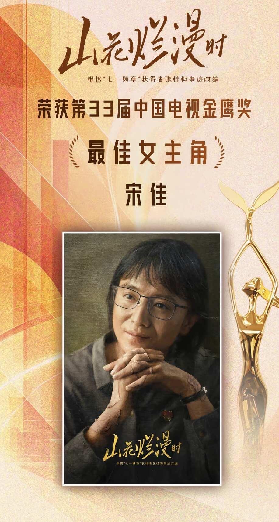 宋佳老师演的电视剧真的很好看啊