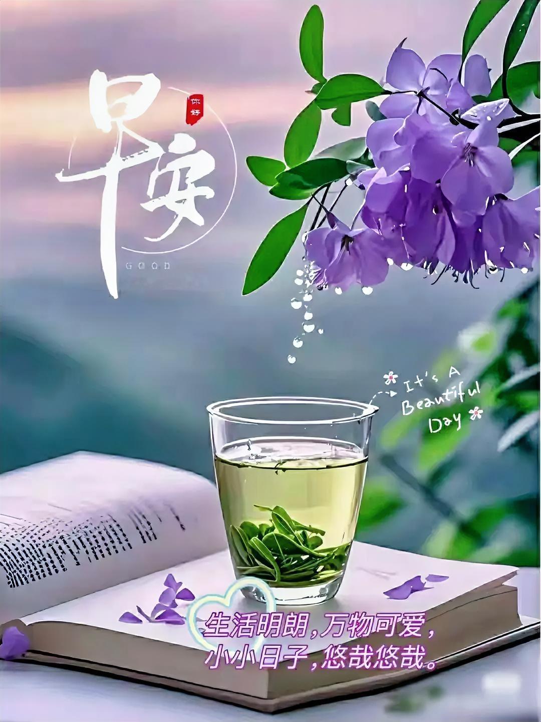 早安，美好的一天从一杯清茶和一本好书开始。🍃🌿🍵
