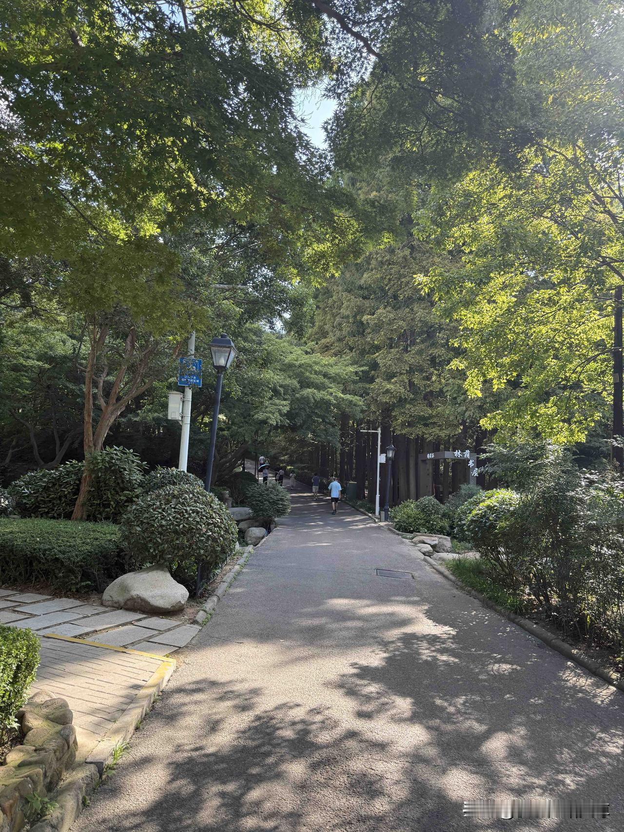 我昨天上午8点就出发去青岛中山公园了，前几次去都是因为天气热走出汗了就不愿意走了