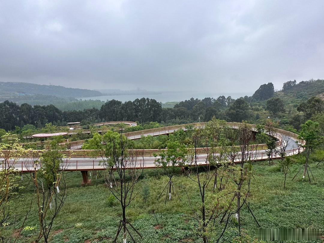 这几天算是跟梅家山杠上了，隔一天跑一次。今天冒小雨又跑一次。这段绿道实在太美，跑