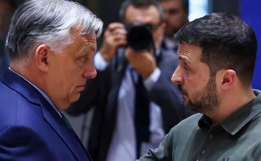 泽连斯基骂疯了，怒怼金主。达沃斯论坛上，他当众怒骂匈牙利总理欧尔班该挨耳光，还直