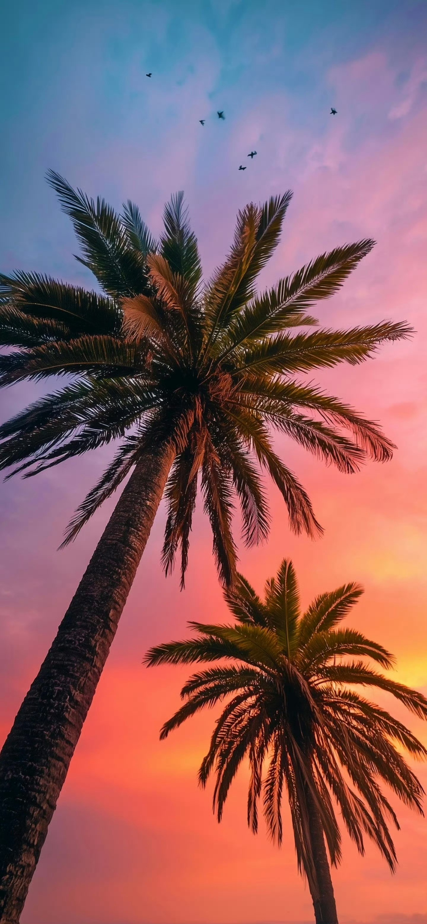Wallpaper 手机壁纸手机壁纸