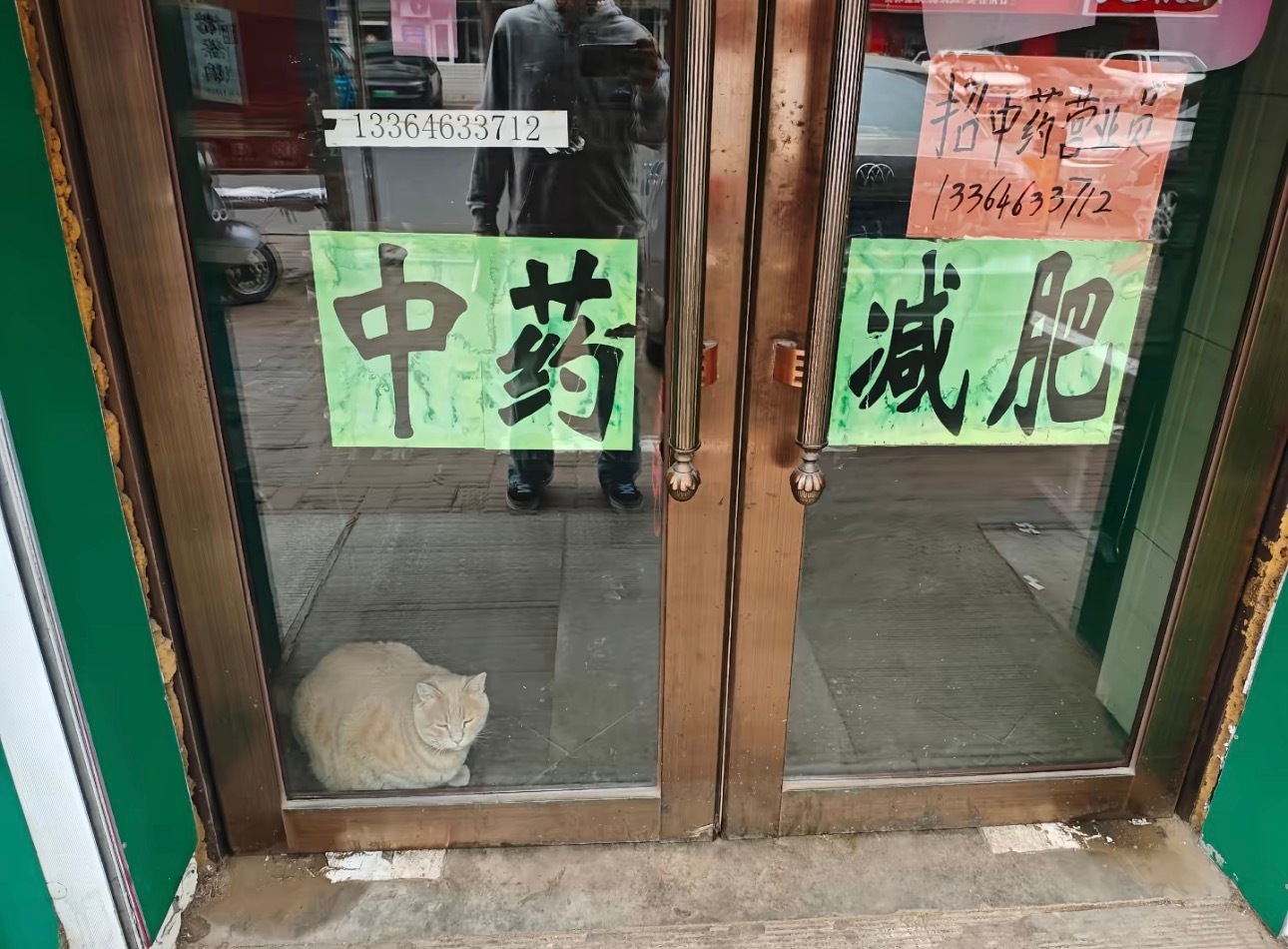 那你怎么这么胖 