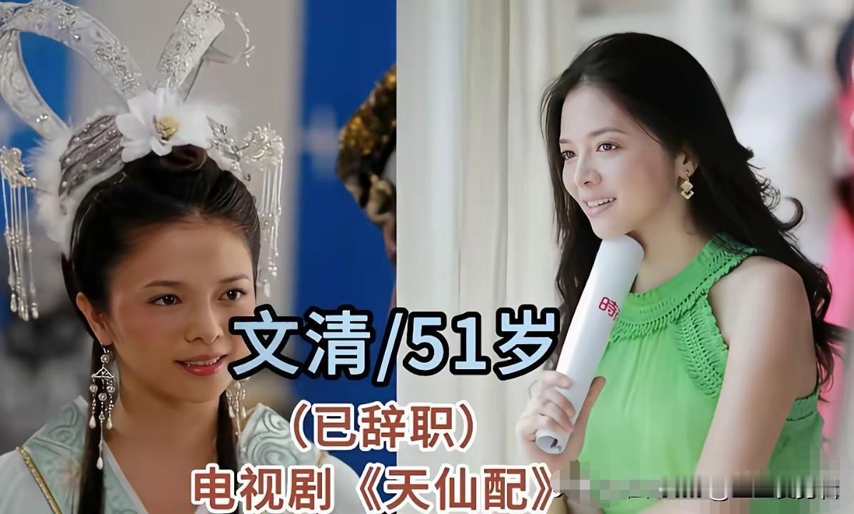 不少央视主持人跨界出演影视剧，比如文清。当年她是央视当家女主持，常年主持《开心辞