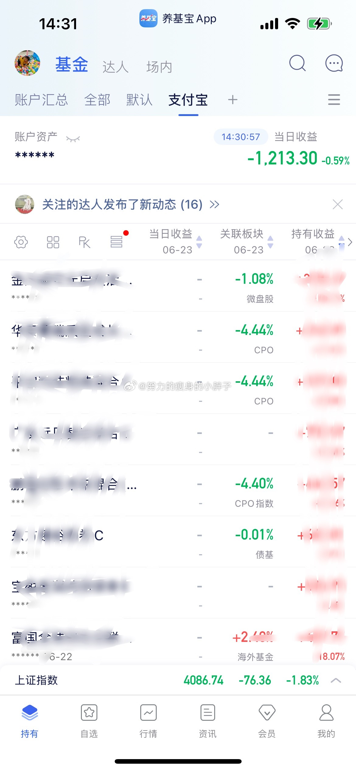 今天这个颜色很护眼